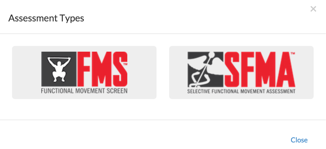 FMS: Deep Squat Screen Flashcards